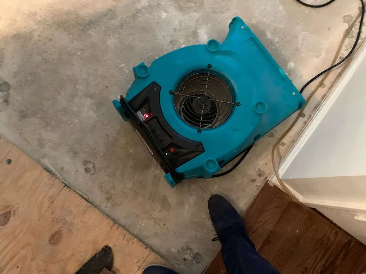 Air mover drying subfloor during Commercial Water Damage Restoration in Buena Vista
